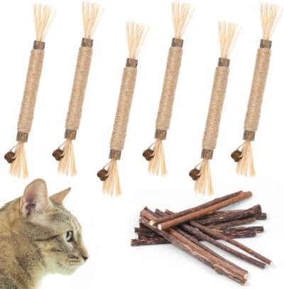 Gryzaki Dentystyczne KiciDent