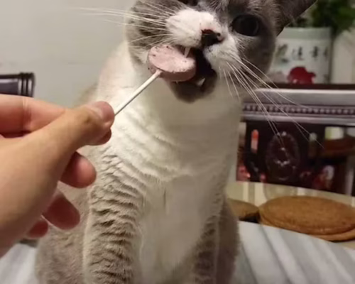 1684122968__o1cn01mggycr2mxvvssdc1f_0-tbbalajpg_800x__original (1)