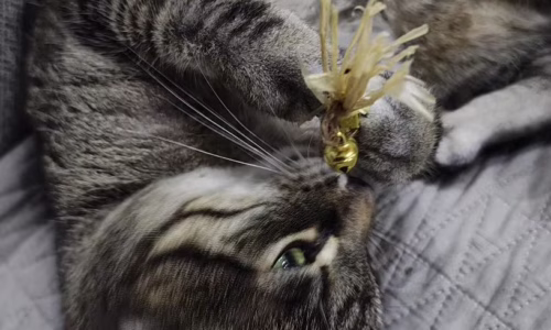 48586b12-9631-4bf8-a933-aee4ea549e81